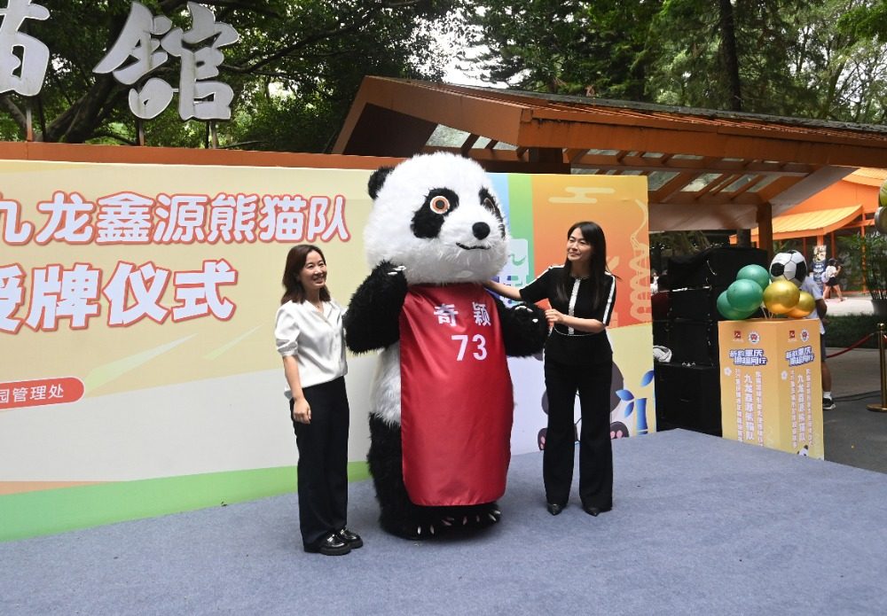 2025年9月29日,重庆动物园,大熊猫“奇颖”的球衣。记者 郑宇 摄/视觉重庆