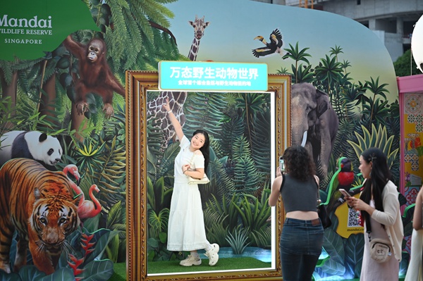 2025重慶·新加坡體驗周現場。吳汪洋攝