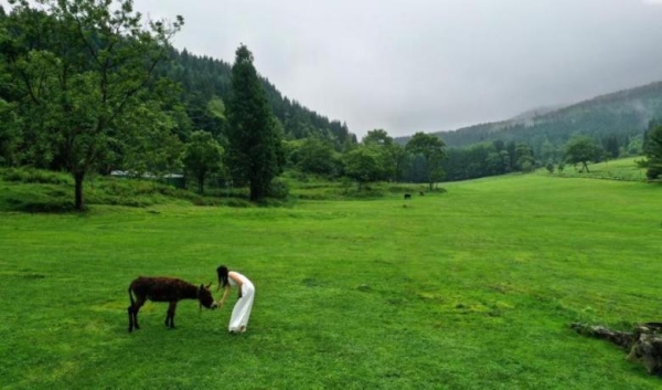 武陵山国家森林公园。涪陵区融媒体中心供图