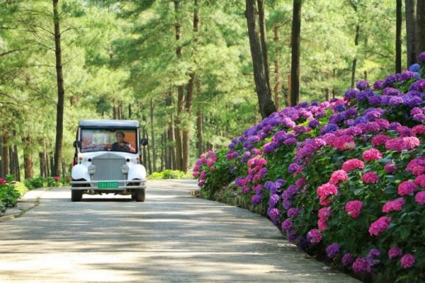 大木花谷·林下花园。涪陵区融媒体中心供图