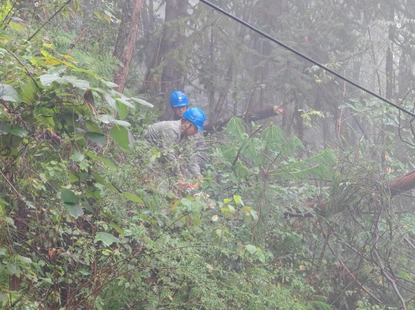 搶修人員在滑坡區域切割樹干。國網城口供電公司供圖