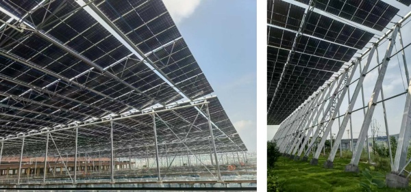 重庆悦来水厂三期分布式光伏发电项目现场实景。重庆设计集团有限公司市政设计研究院供图