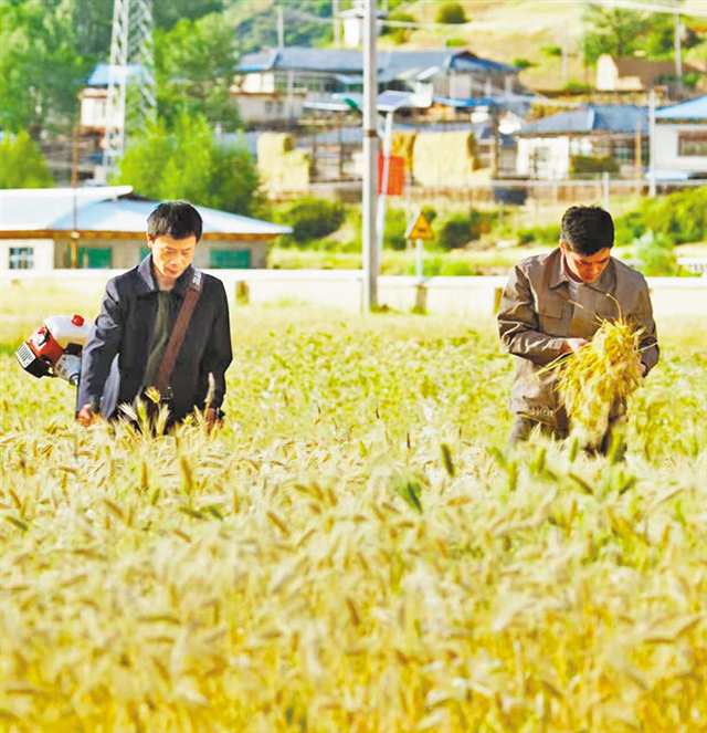 《藏地心迹》剧照。(受访者供图)