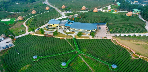 伴山茶宿。周興健攝