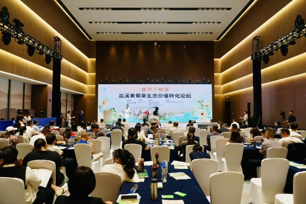 活动现场。主办方供图