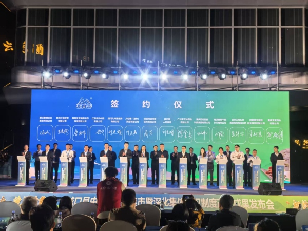 签约仪式现场。任峰摄