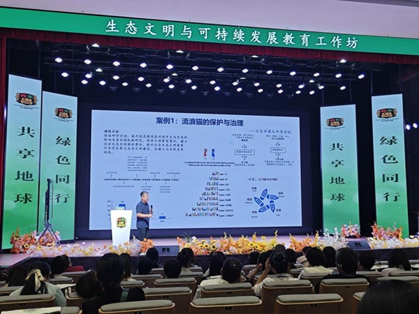 活动现场。主办方供图