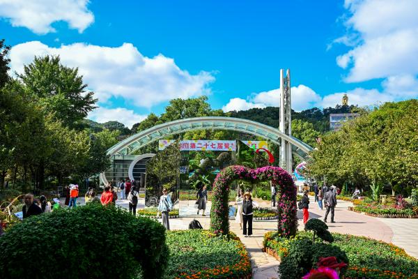 菊花展在南山植物园开展。崔景印摄