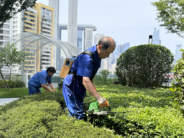 園區綠化養護。招商積余重慶公司供圖