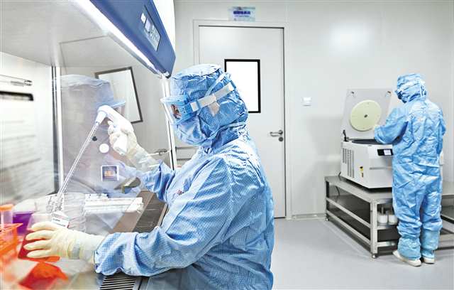 十月二十二日，金鳳實驗室，金鳳干細胞中心科研人員正在做實驗。首席記者 龍帆 攝\視覺重慶