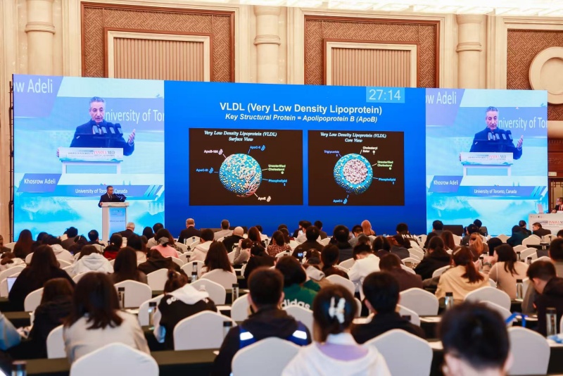 论坛现场。主办方供图