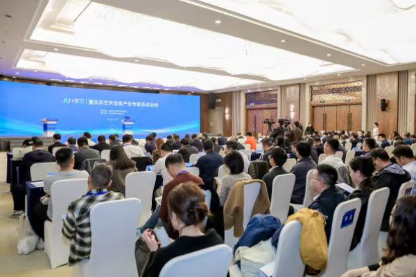 大會現場。主辦方供圖