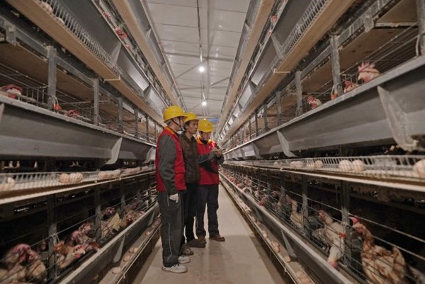 开展走访工作。国网重庆合川供电公司供图