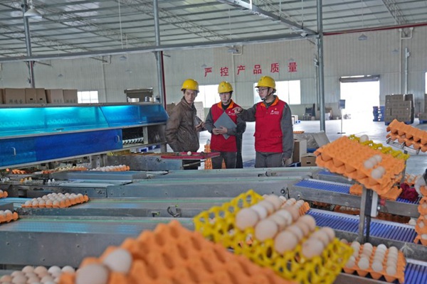 開展走訪工作。國網重慶合川供電公司供圖