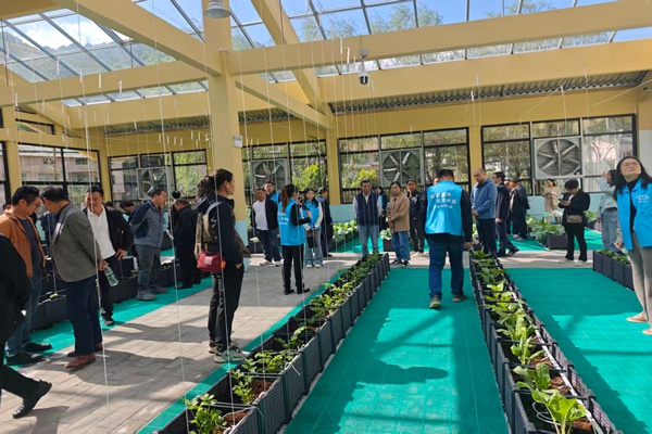 活动现场。主办方供图