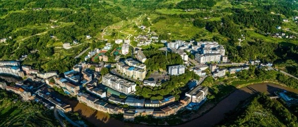 中峰镇全镇森林覆盖率达73.6%。受访单位供图