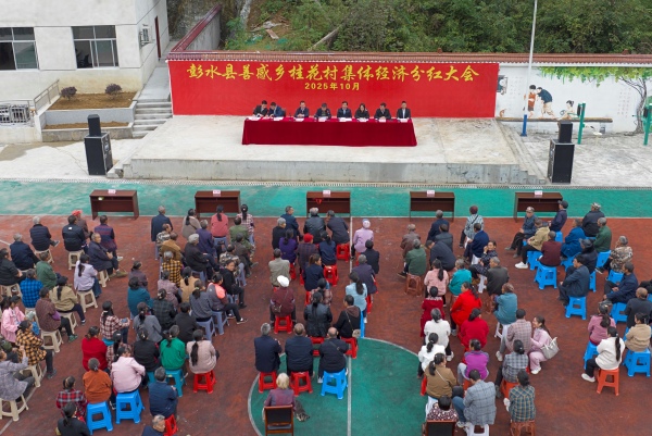 善感乡桂花村举行2025 年度村级集体经济分红大会。赵勇摄