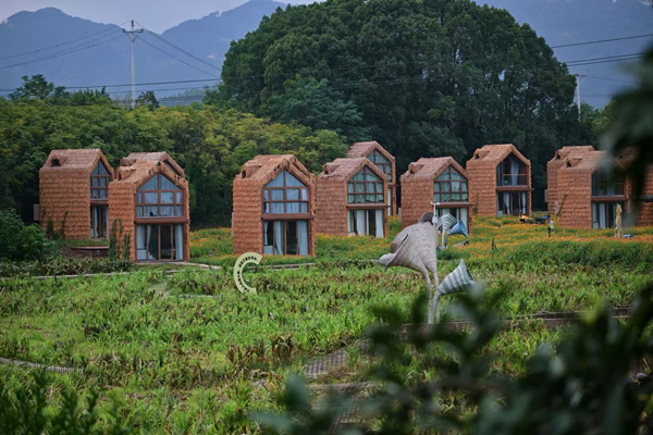 將軍村掠影。主辦方供圖