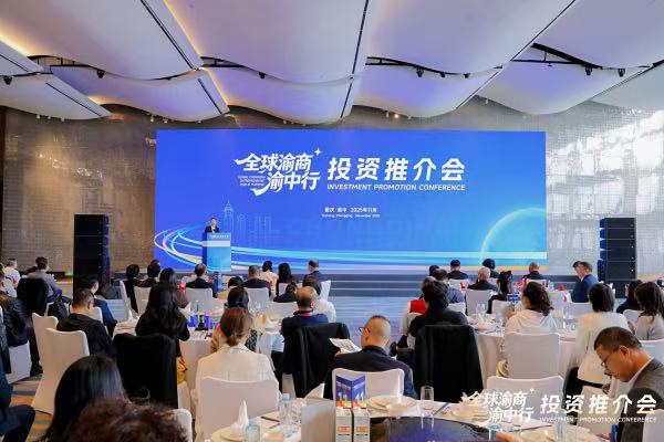 全球渝商渝中行投資推介會現場。主辦方供圖