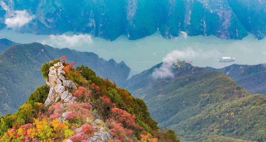 2025年11月4日，巫山縣長江巫峽兩岸層林盡染，紅葉似火，船隻航行其間，如在畫中。通訊員 馮光倫 攝