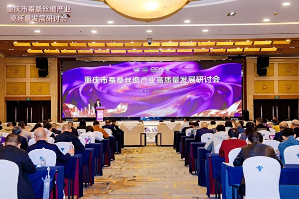 研讨会现场。主办方供图