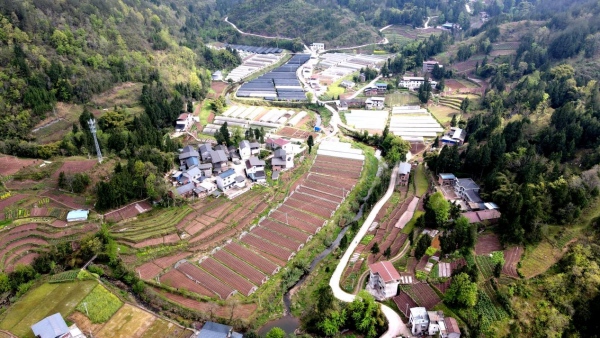 外郎乡大花蔬菜基地全景图。外郎乡供图