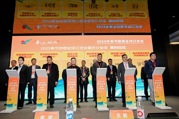 签约仪式现场。主办方供图