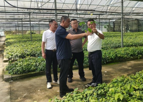 上坝乡为企服务队到中药材加工企业走访。上坝乡供图