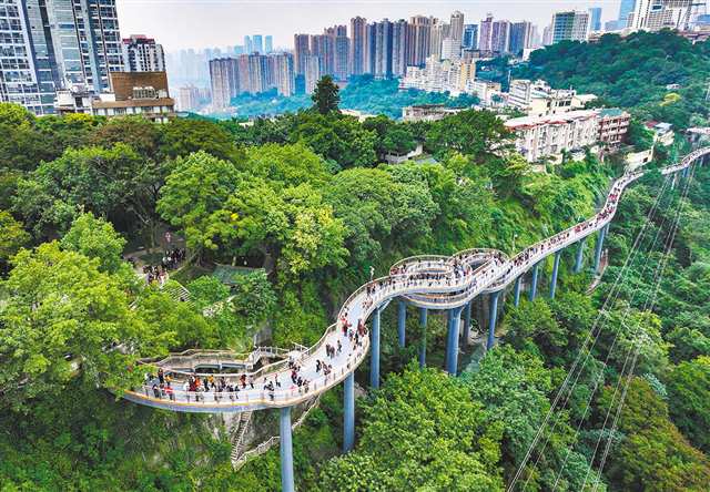 圖為11月12日,重慶半山崖線鵝嶺棧橋,眾多市民在打卡觀景(無人機照片)。 記者 鄭宇 攝/視覺重慶