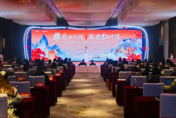 推介会现场。活动主办方供图