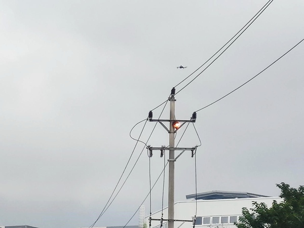 激光狙擊馬蜂窩。國網重慶永川供電公司供圖