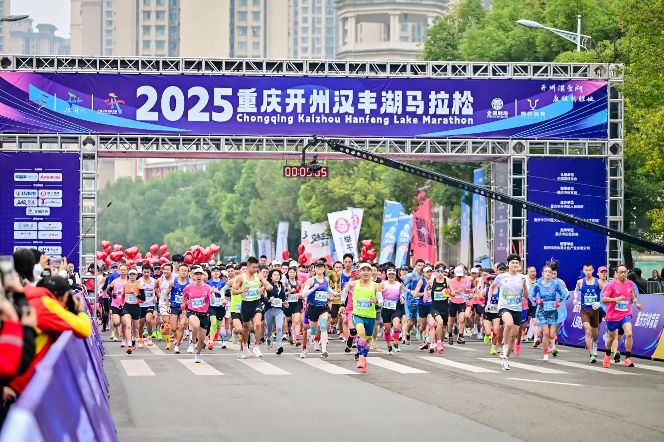 比赛现场。赛事组委会供图