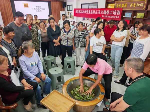 茶工培訓。受訪者供圖