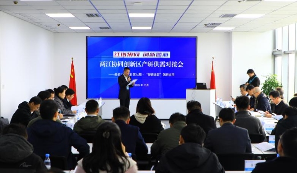 活动现场。两江协调创新区供图