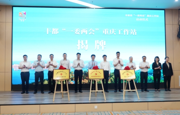 豐都“一委兩會”重慶工作站揭牌成立。豐都縣融媒體中心供圖