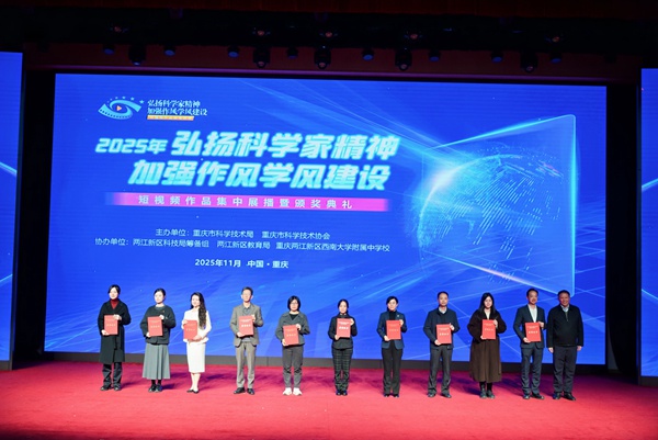 活动现场。主办方供图