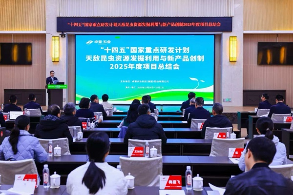 会议现场。綦江区委宣传部供图