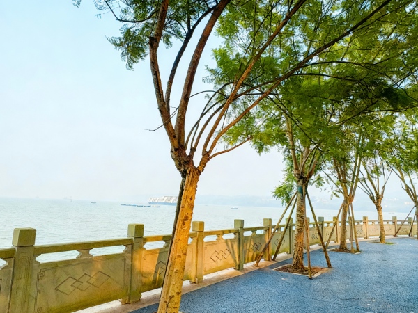 长江岸线一隅。洛碛镇供图