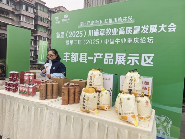 現場農特產品展示。主辦方供圖