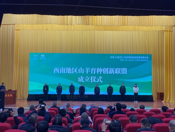 活动现场。主办方供图