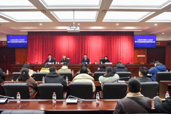 發布會現場。九龍坡區委宣傳部供圖