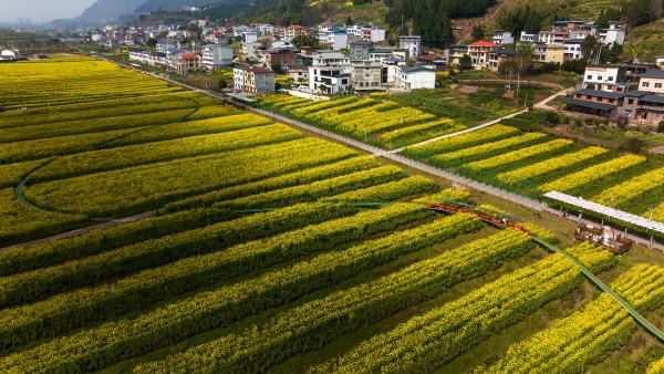 开州大地。开州区委宣传部供图
