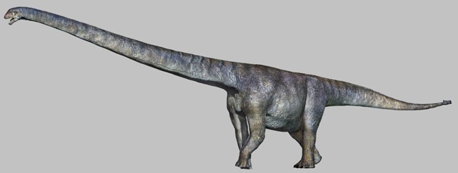 三江马门溪龙复原图。重庆市规划和自然资源局供图