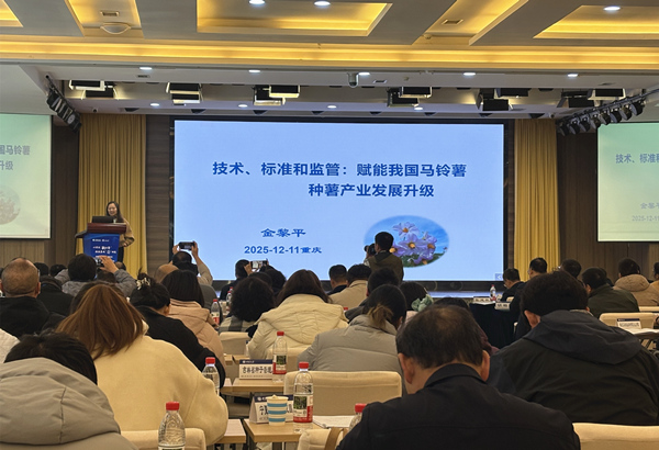 中國作物學會馬鈴薯專業委員會會長金黎平作報告。西南大學供圖