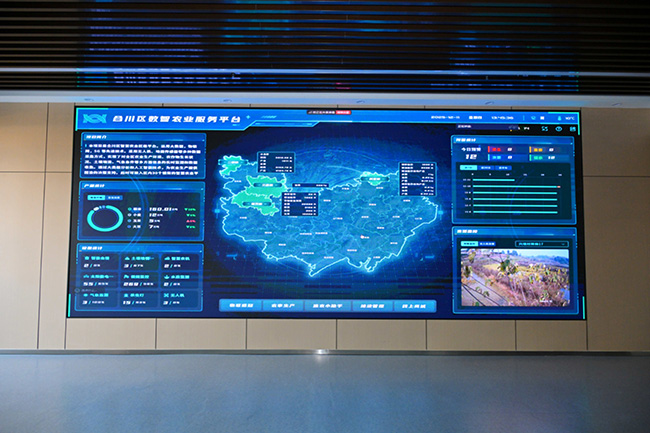 合川区数智农业服务平台。重庆电信供图