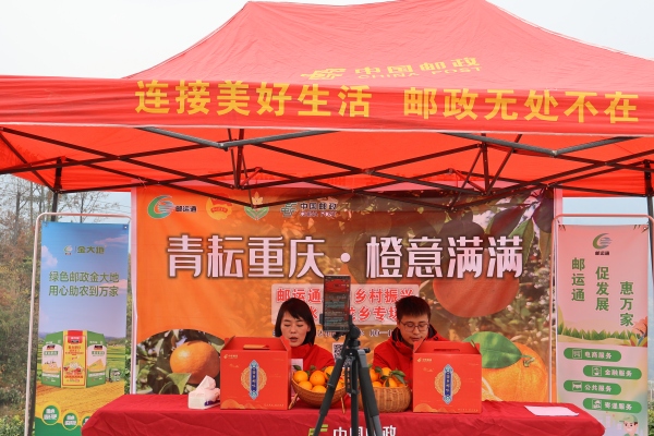 直播现场。冉立摄