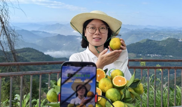 主播直播助力特色农产品销售。宝坪镇供图