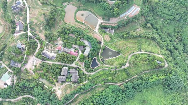 尚善园旅游休闲项目航拍图。鱼洞街道供图