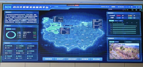 合川区数智农业服务平台。重庆电信供图