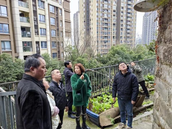 勘查現場和設施線路狀況。彈子石街道城管執法大隊供圖